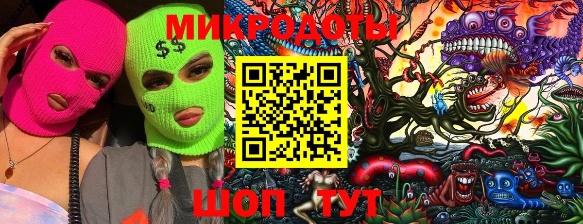 Псилоцибиновые грибы Cubensis Киселёвск