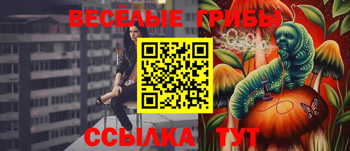 Магазин наркотиков  Киселёвск  MDMA  A-PVP СОЛЬ   Конопля  ЭКСТАЗИ  Вход с VPN  Меф кристаллы  COCAIN 