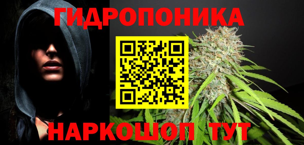 Каннабис OG Kush Киселёвск